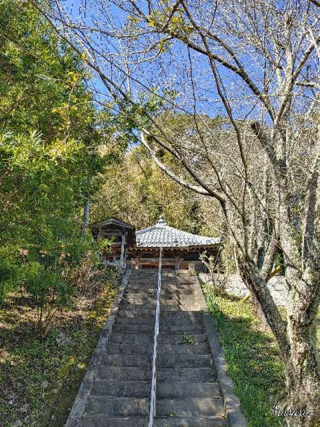 長谷寺の参拝記録2