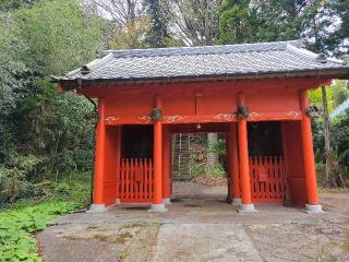 金剛山 小網寺の参拝記録(まっきーさん)