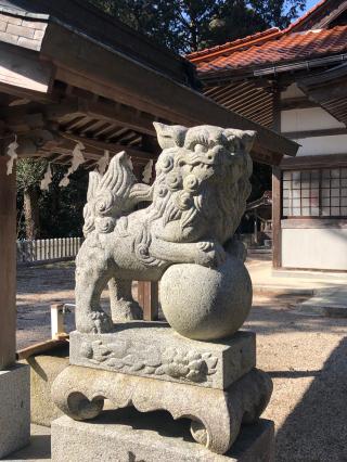 津田八幡神社の参拝記録(あくんさん)