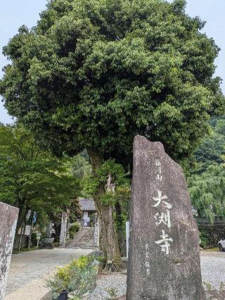 龍河山 大渕寺の参拝記録(まーさんさん)