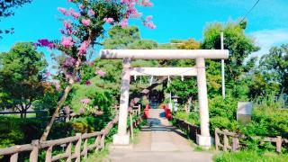 碑文谷厳島神社の参拝記録(miyumikoさん)
