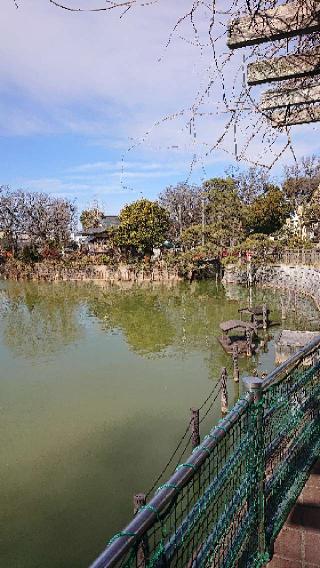 碑文谷厳島神社の参拝記録(りゅうじさん)