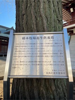 瘡守稲荷大明神の参拝記録(ハボタンはケールさん)