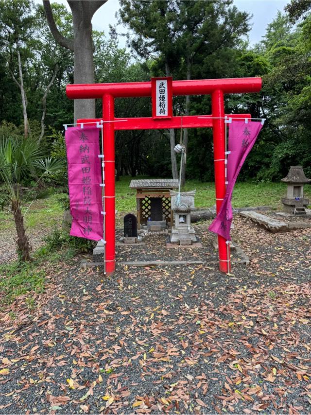 武田姫稲荷の参拝記録3
