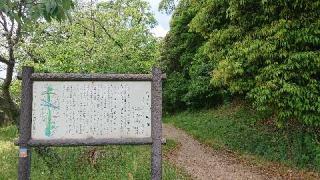 杉塚埴安神社の参拝記録(つるけんさん)