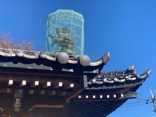 下谷中稲荷神社の参拝記録(shikigami_hさん)