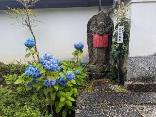 矢田寺 大門坊(三大秘密教門院)の参拝記録(くまたろうさん)