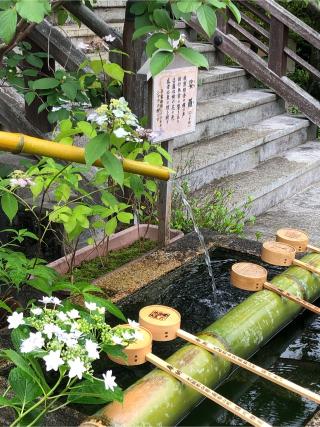 矢田寺 大門坊(三大秘密教門院)の参拝記録(ヒデさん)