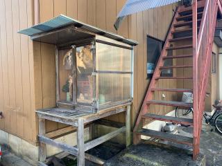 稲荷神社の参拝記録(shikigami_hさん)