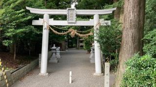 八坂神社の参拝記録(すったもんださん)