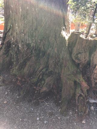 八坂神社の参拝記録(KUMIKOさん)