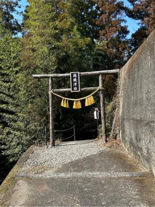 瀬織津姫神社の参拝記録(B4-61さん)