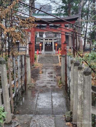 稲荷社(調神社旧本宮)の参拝記録(三毛猫さん)