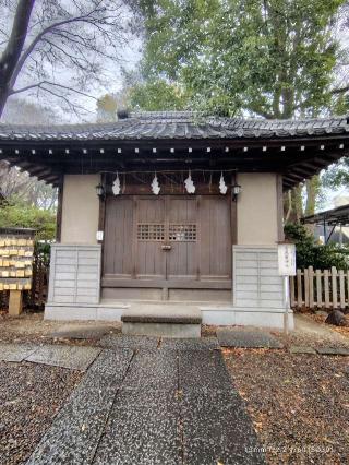 金比羅神社(調神社境内社)の参拝記録(三毛猫さん)