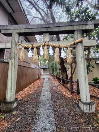 金比羅神社(調神社境内社)の参拝記録(三毛猫さん)