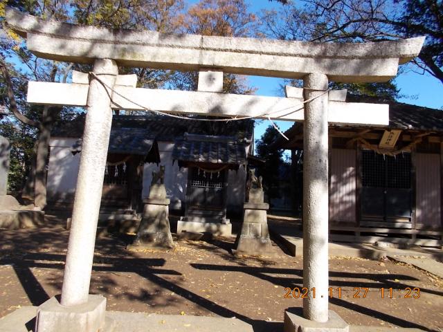 埼玉県さいたま市南区白幡1-16-13 稲荷社(睦神社境内末社)の写真3