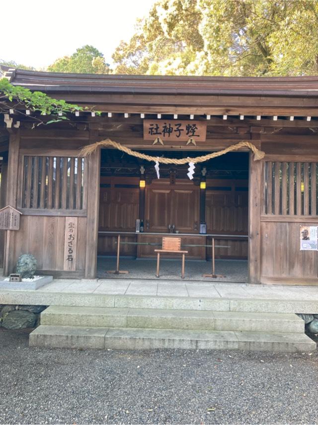 蛭子神社(伊太祁曾神社境内)の参拝記録5