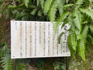 御井社(伊太祁曾神社)の参拝記録(じゃすてぃさん)