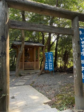 御井社(伊太祁曾神社)の参拝記録(Hacyさん)