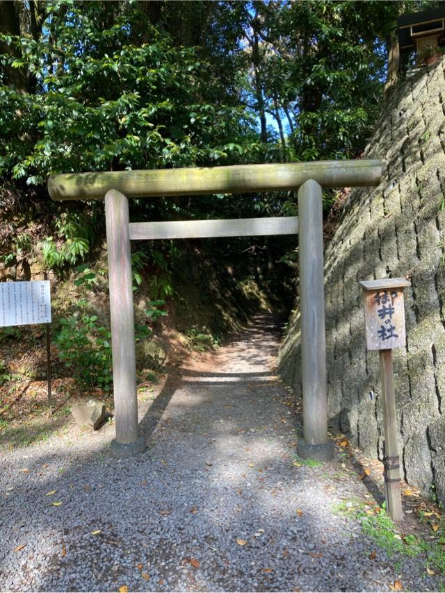 御井社(伊太祁曾神社)の参拝記録5