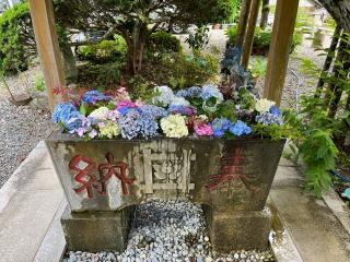勝栄山 日運寺の参拝記録(ヒロさん)