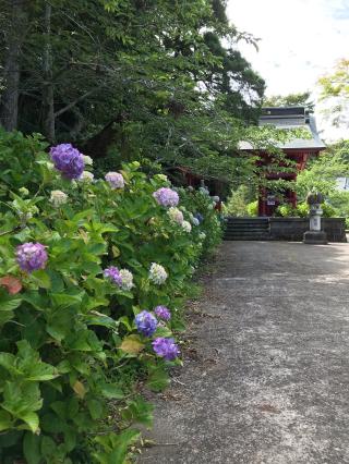 勝栄山 日運寺の参拝記録(さんさん)