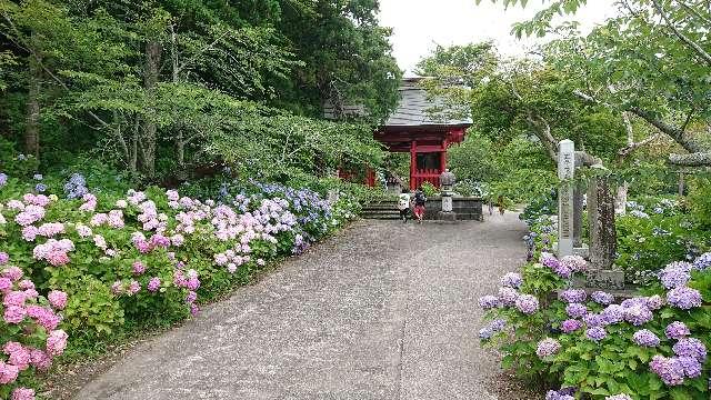 千葉県南房総市加茂2124 勝栄山 日運寺の写真5