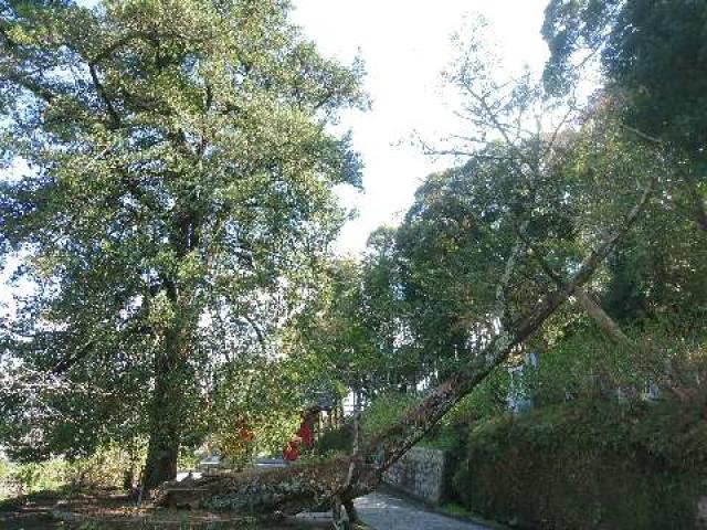 千葉県南房総市加茂2124 勝栄山 日運寺の写真3