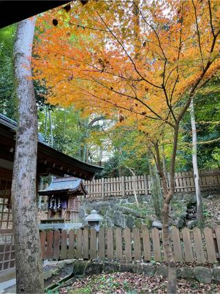 八大龍王社の参拝記録(KUMIKOさん)