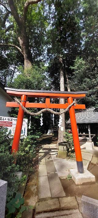 御嶽山神社(西堀氷川神社境内社)の参拝記録(まーぼーさん)