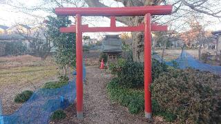 稲荷神社の参拝記録(ロビンさん)