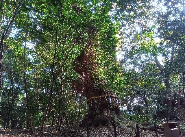 清水社(熱田神宮末社)の参拝記録6