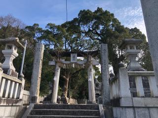 綱分八幡宮の参拝記録(ふるかわさん)