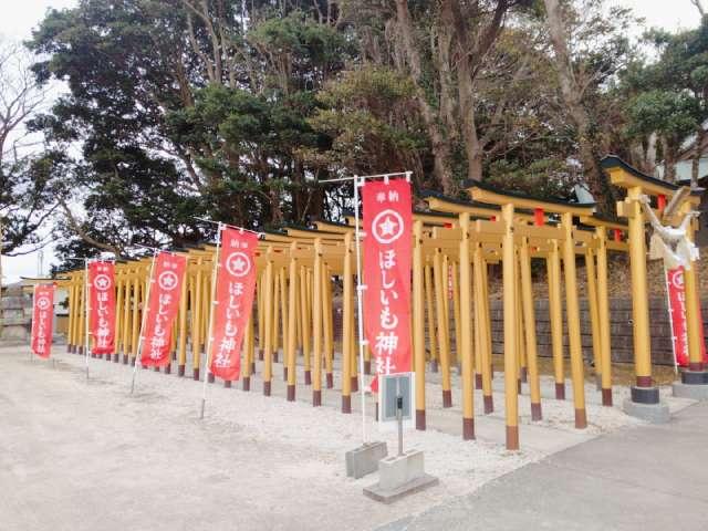 ほしいも神社の参拝記録10