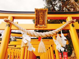 ほしいも神社の参拝記録(miyumikoさん)