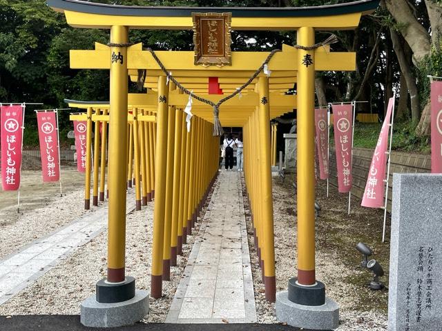 茨城県ひたちなか市阿字ヶ浦178 ほしいも神社の写真3
