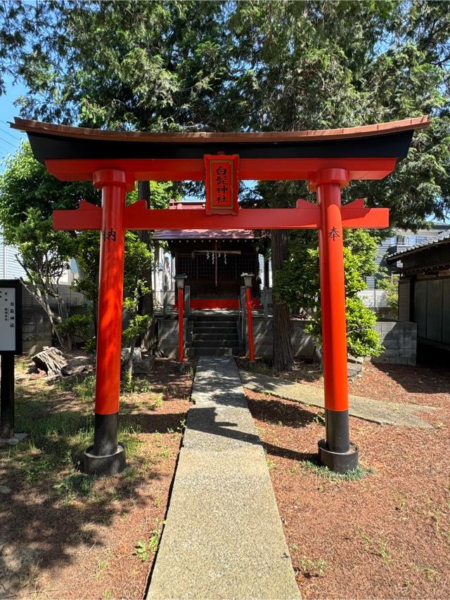 白髯神社(さいたま市南区)の参拝記録1