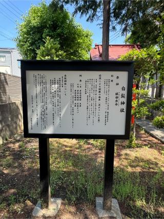 白髯神社(さいたま市南区)の参拝記録(こーちんさん)