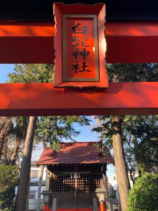 白髯神社(さいたま市南区)の参拝記録(shikigami_hさん)