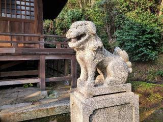 貴布祢神社の参拝記録(飛成さん)