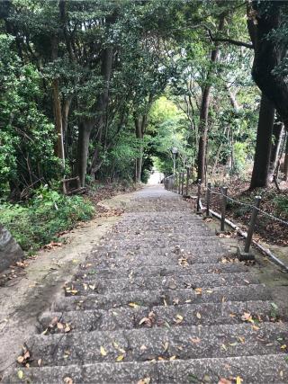 福浦金比羅宮の参拝記録(マロさん)