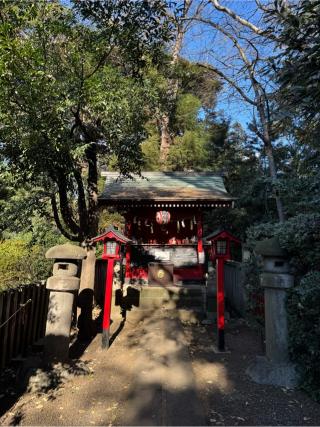 稲荷神社(双葉氷川神社境内社)の参拝記録(こーちんさん)