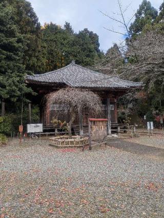 大日堂の参拝記録(はくすみさん)