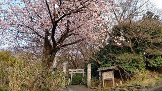 秋葉神社(浄慶寺境内社)の参拝記録(miyumikoさん)