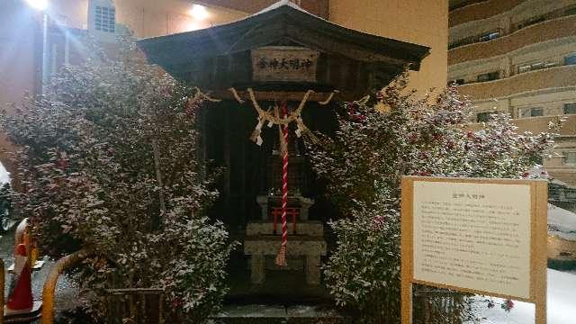 金神大明神(金蛇水神社)の参拝記録7