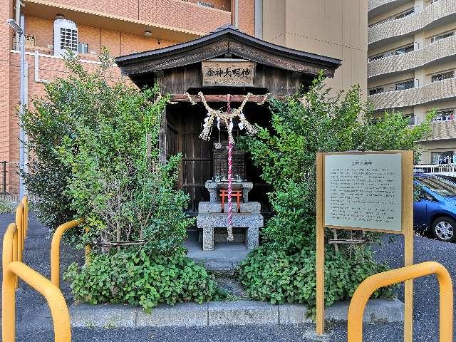 金神大明神(金蛇水神社)の参拝記録8