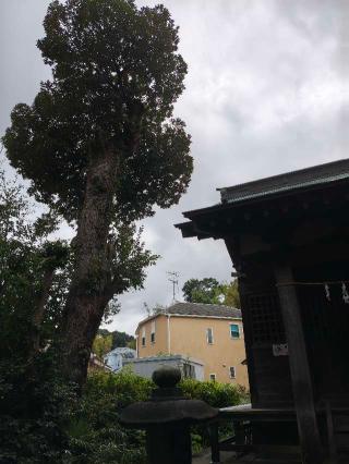 秋葉神社 諏訪社の参拝記録(くみみさん)