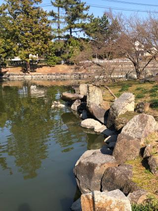 亀島神社の参拝記録(あくんさん)