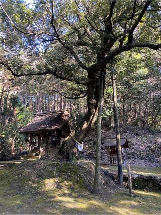 大倉神社（綱神社摂社）の参拝記録(みつをさん)