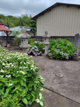 猿田彦神社の参拝記録(zx14rさん)